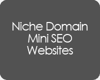 Niche Domain Mini SEO Websites