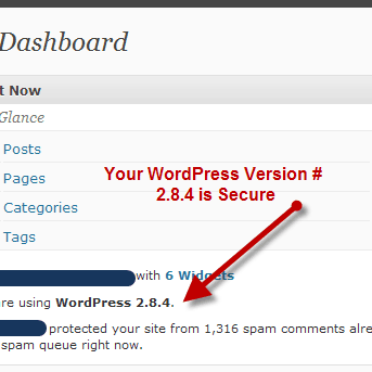 wordpress version demo